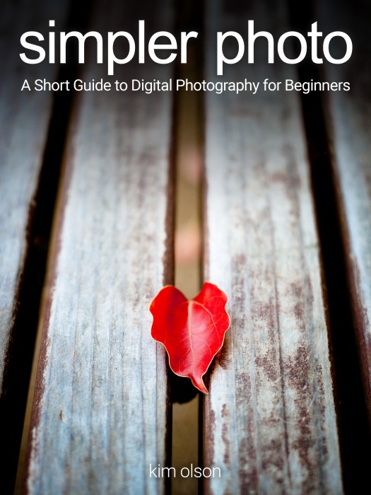 Simpler Photo book